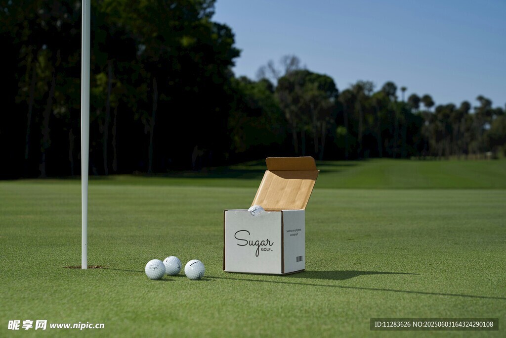 高尔夫球与球盒在草地
