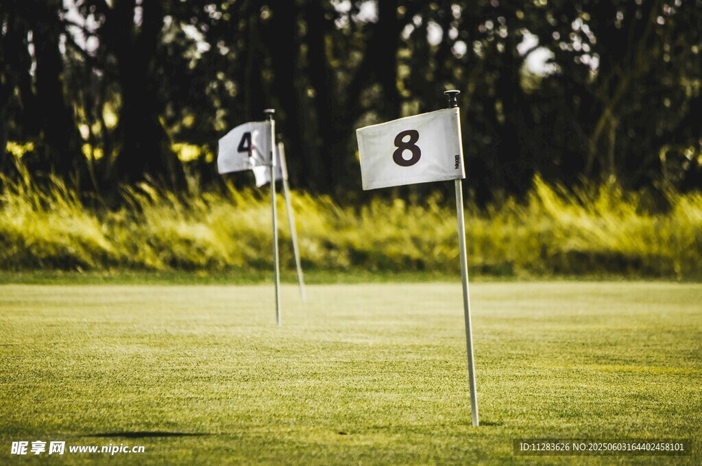 高尔夫球场号码标识牌