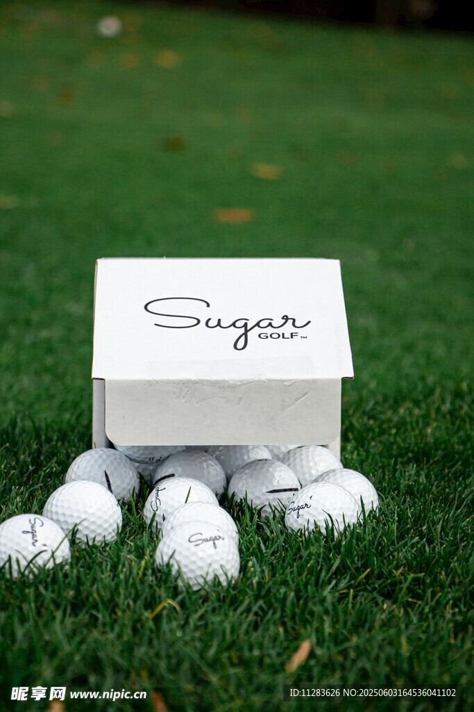 高尔夫球与精致球盒