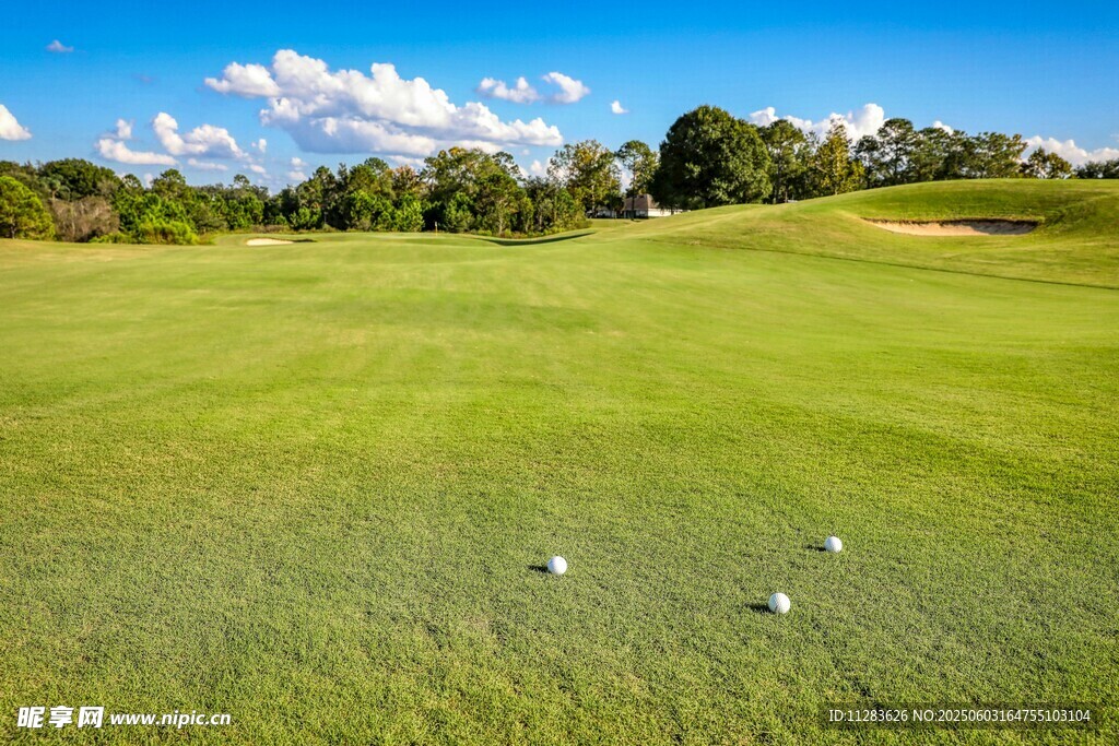 绿茵上的高尔夫球场景