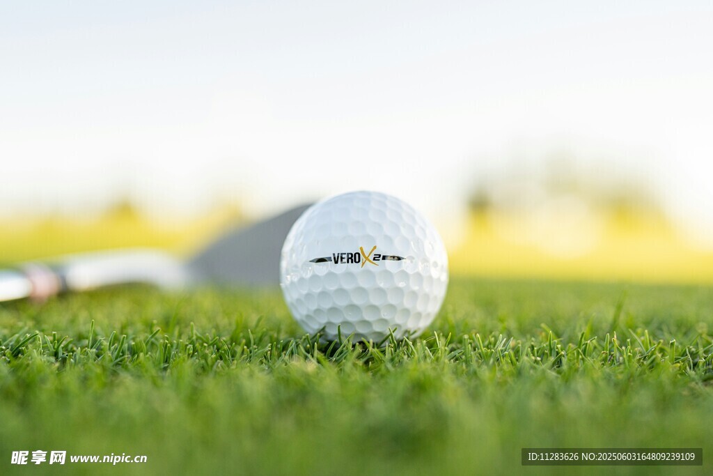 绿茵上的高尔夫球