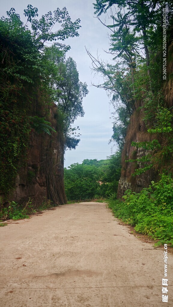 乡间小路