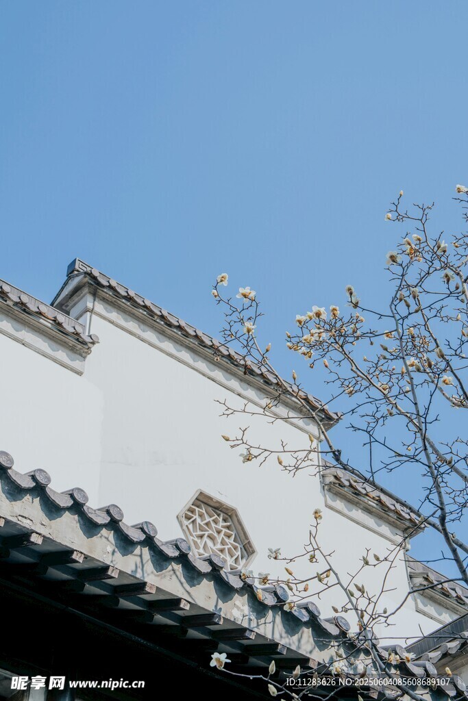 中式屋檐与枝头春色