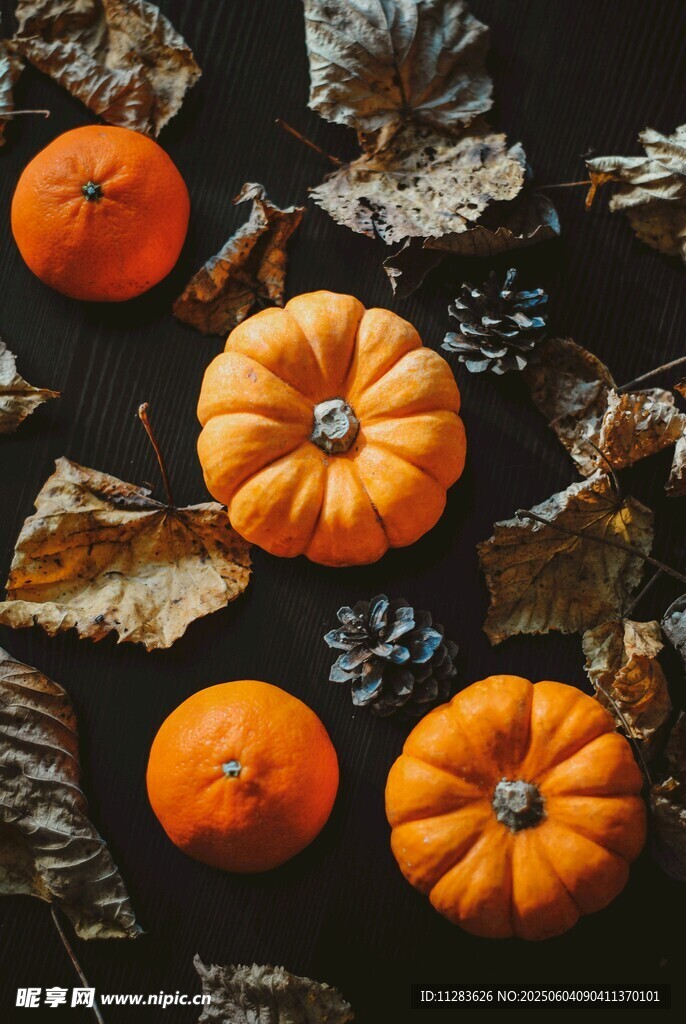 秋季南瓜与枯叶静物图