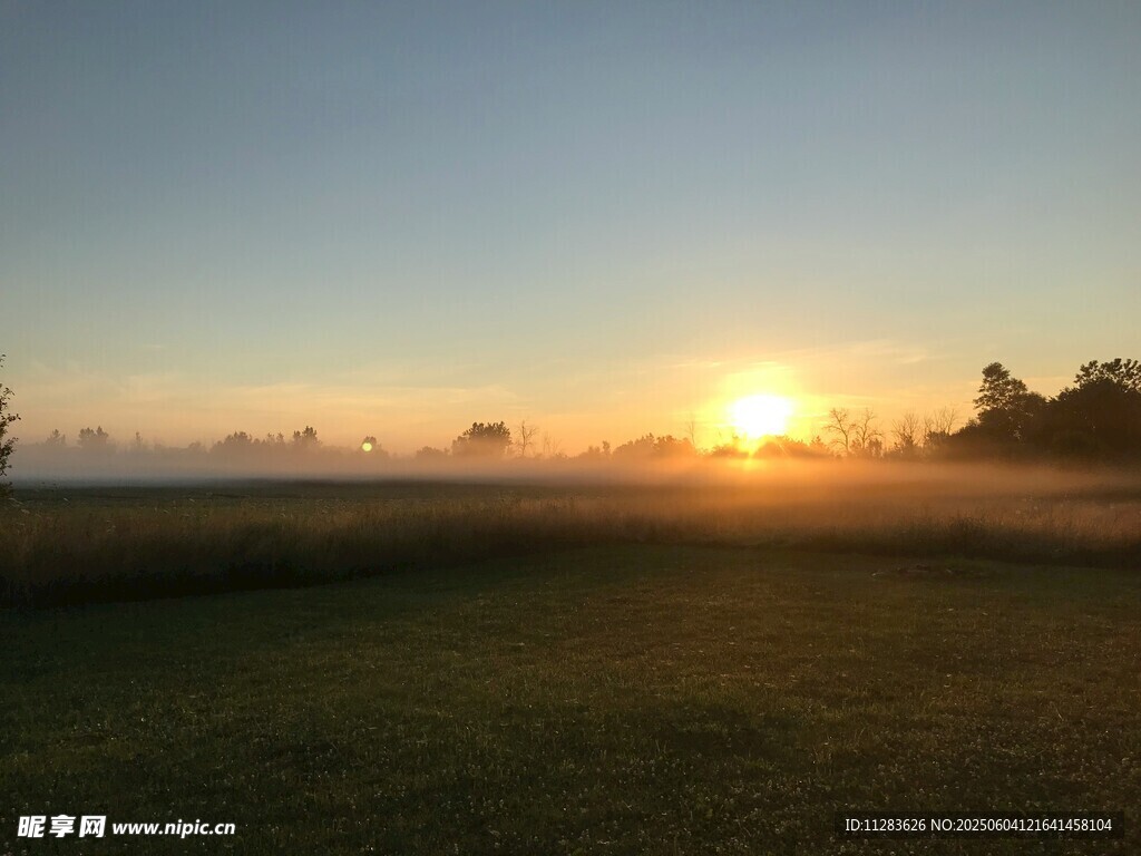日出时分的开阔草地美景