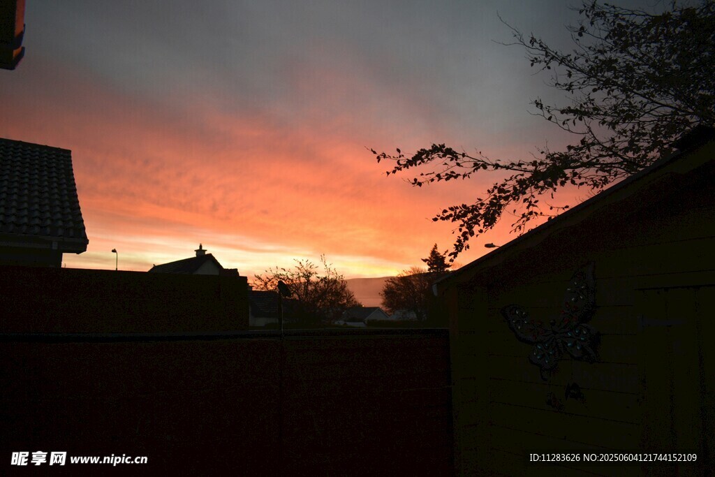 夕阳下的房屋与树梢美景