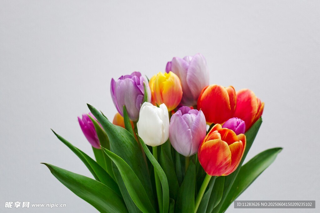 多彩郁金香花束