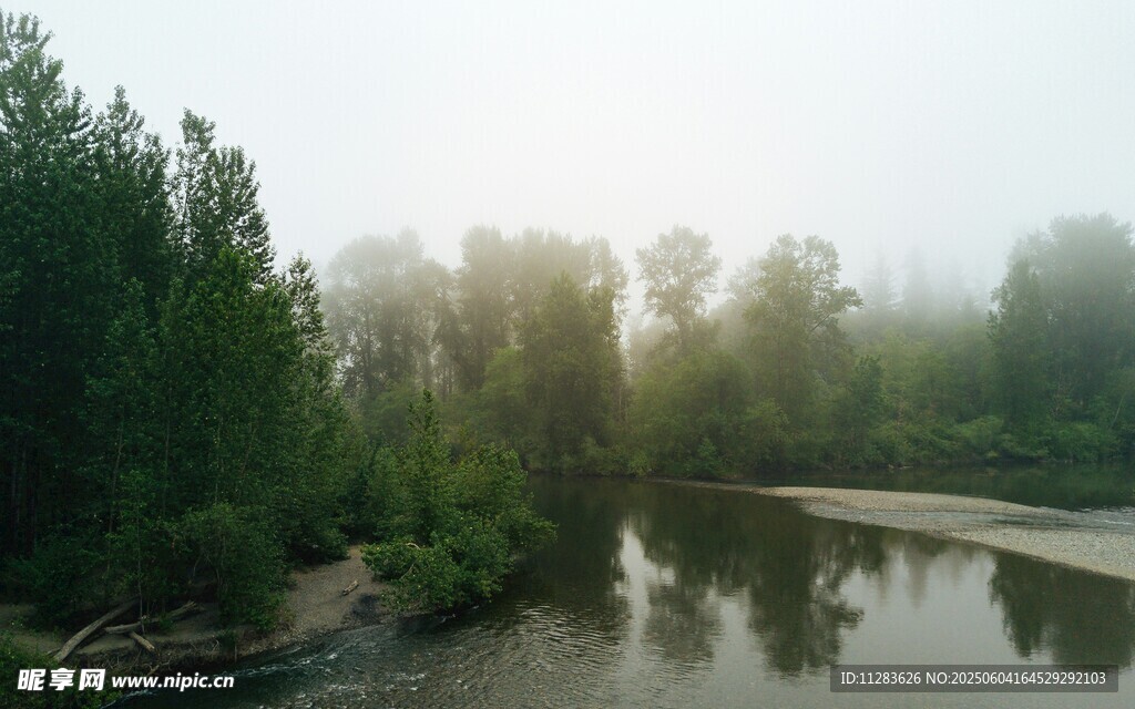 晨雾中的河畔树林美景
