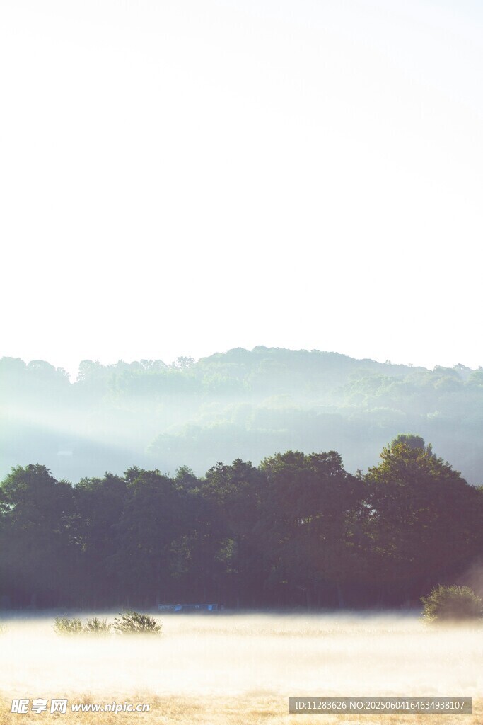 晨雾中的山林美景