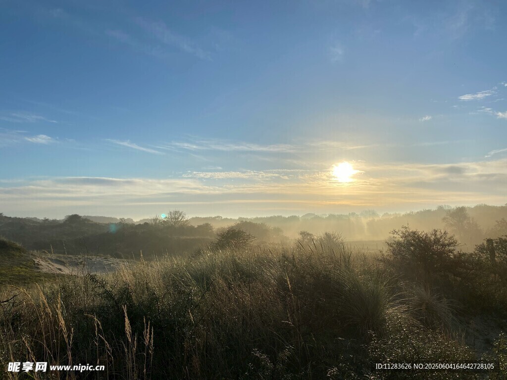 日出时分的草地美景