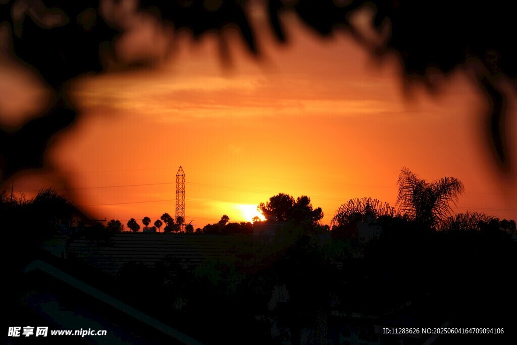 夕阳下的剪影美景