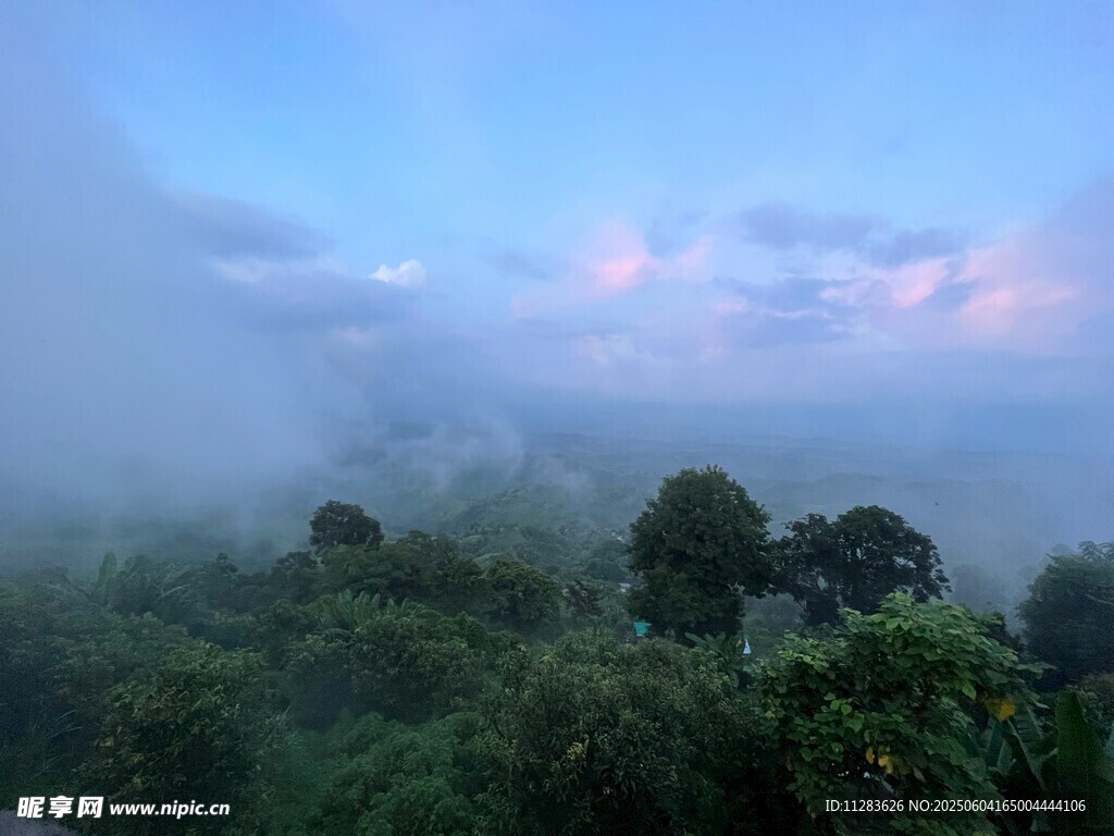 山林晨雾中的梦幻景致