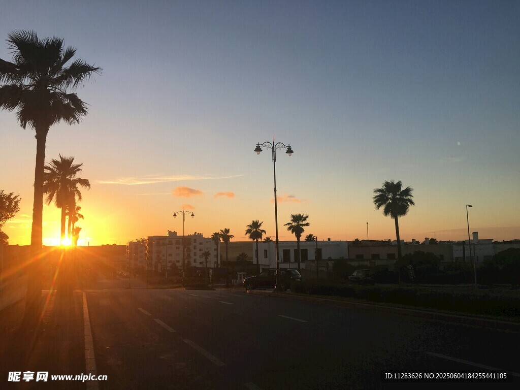 夕阳下的棕榈树道路景观