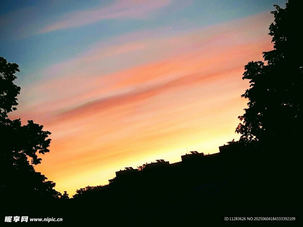 黄昏时分的树林与绚丽天空