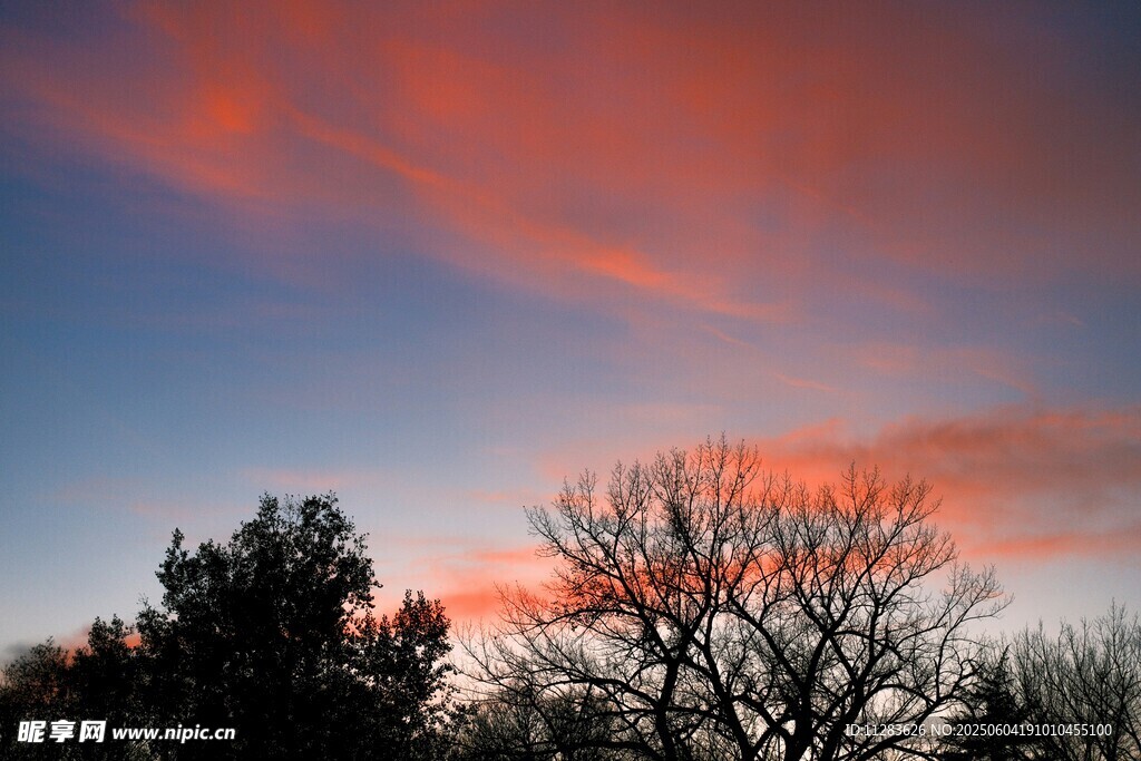 夕阳下的树木与绚烂天空