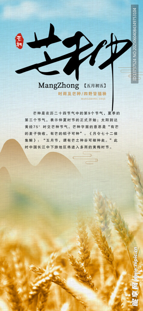 芒种