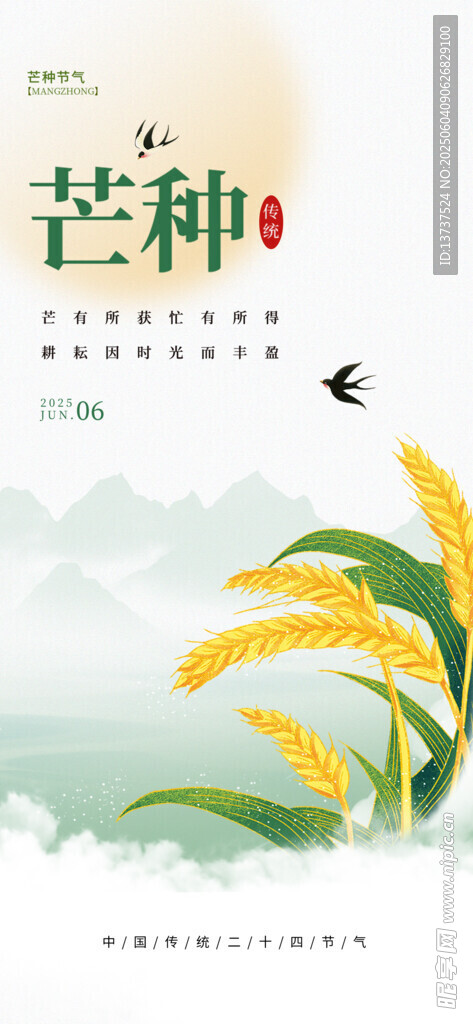 芒种
