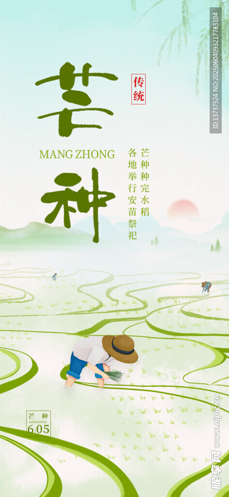 芒种