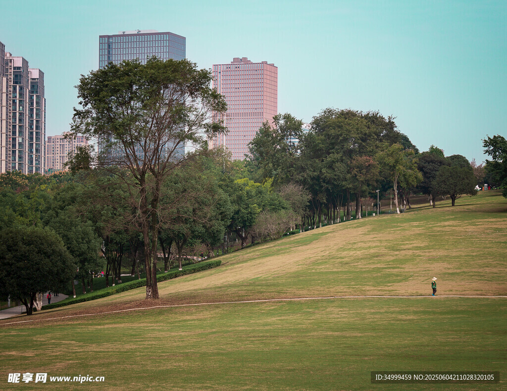 城市公园的绿地景观