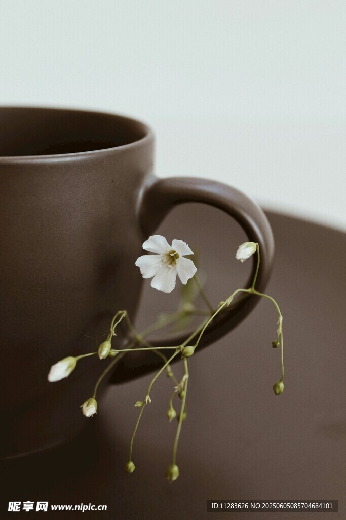 棕色杯饰素雅小花枝
