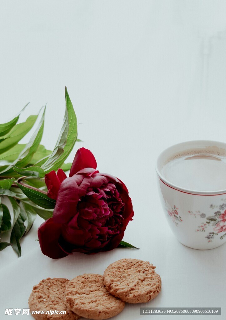 花茶配点心与娇艳牡丹
