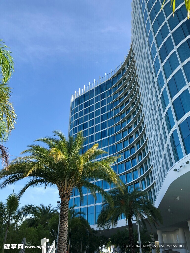 现代海滨摩天大楼与棕榈树
