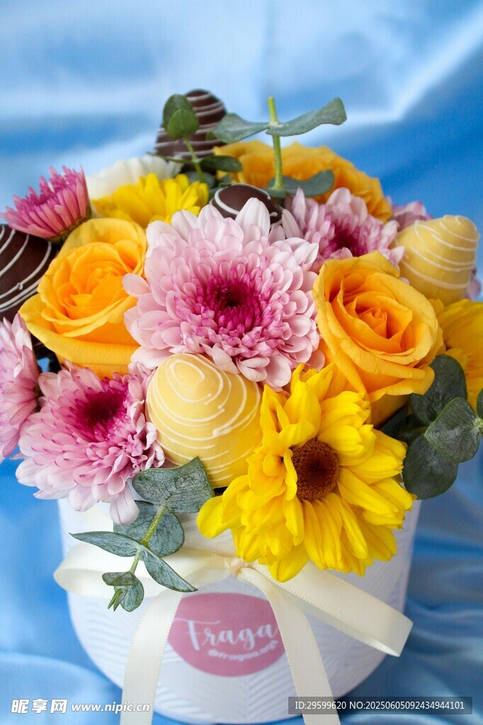 多彩鲜花盆栽装点美好