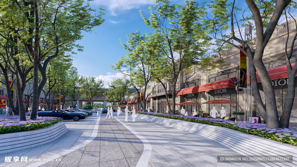 城市街道绿树成荫景观美