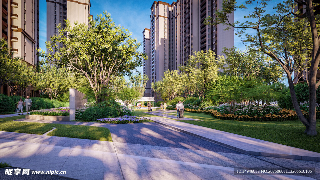 都市林荫下的静谧道路