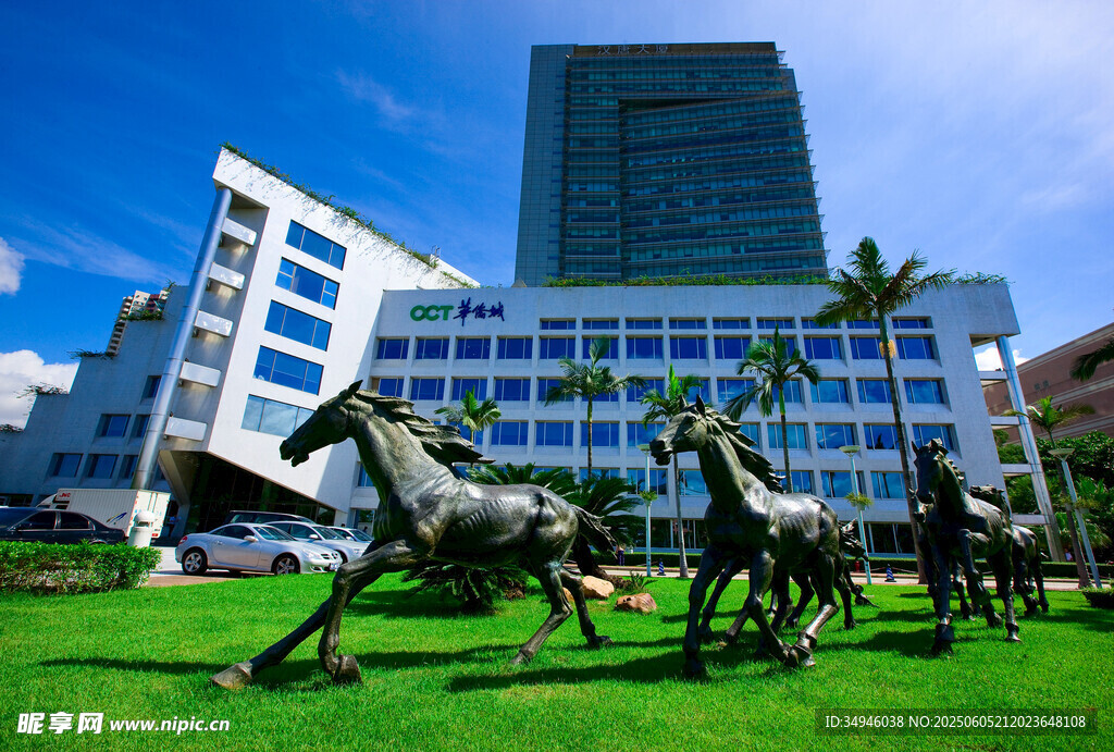 城市草坪上的骏马雕塑