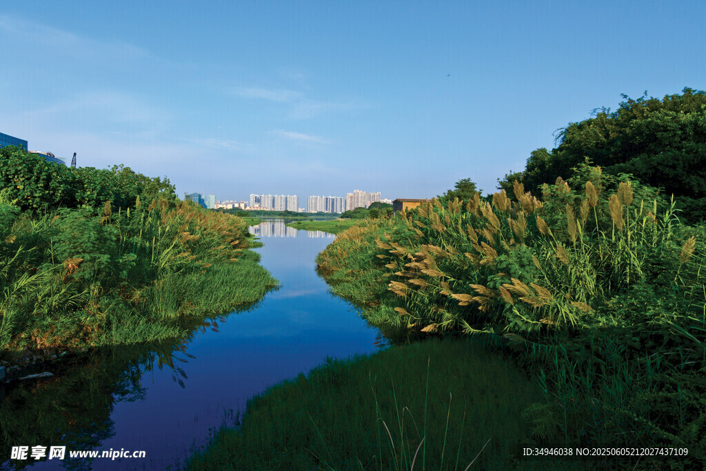 河畔绿植环绕的宁静水域