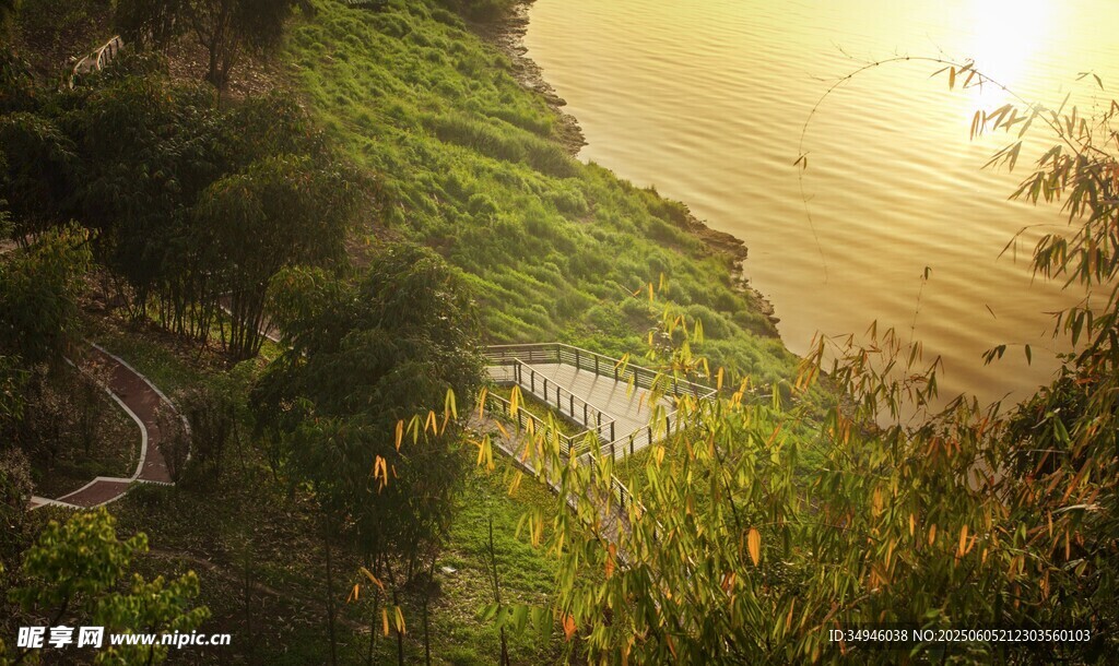 夕阳下的河畔绿意景观
