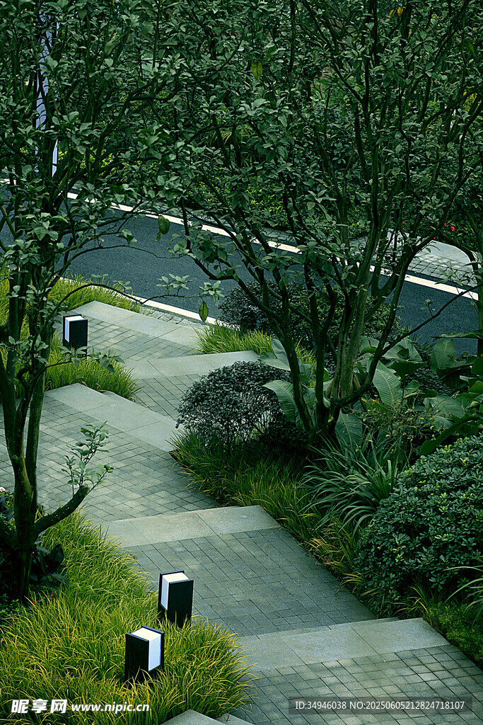 静谧园林小径景观