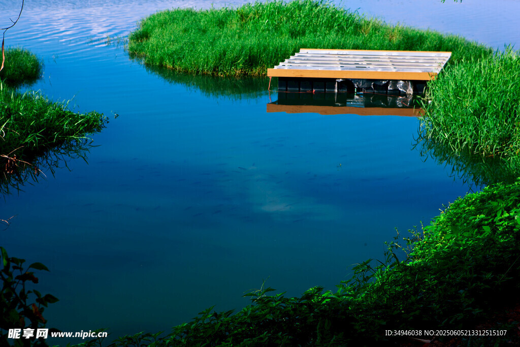 宁静湖中小屋与葱郁绿植