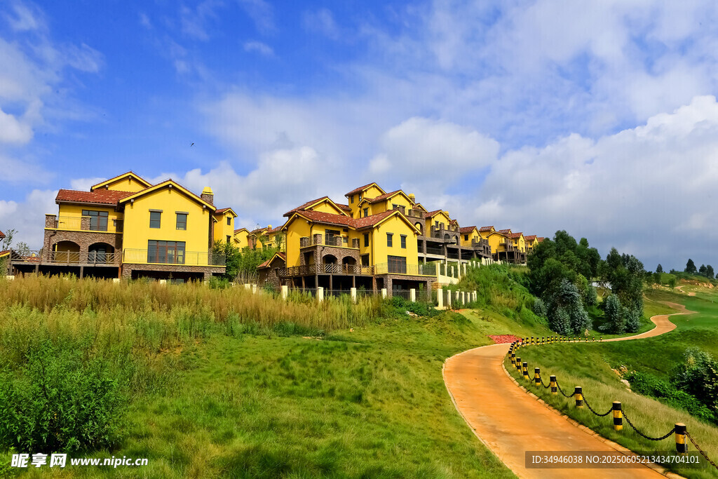 山坡上的精美别墅群