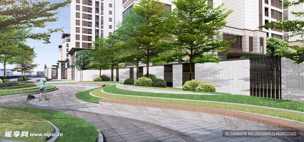 城市街道旁的绿树与建筑