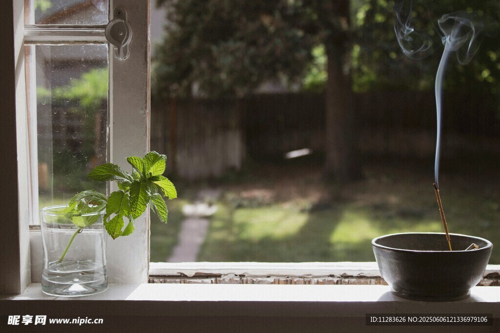 窗边绿植静谧的自然小景