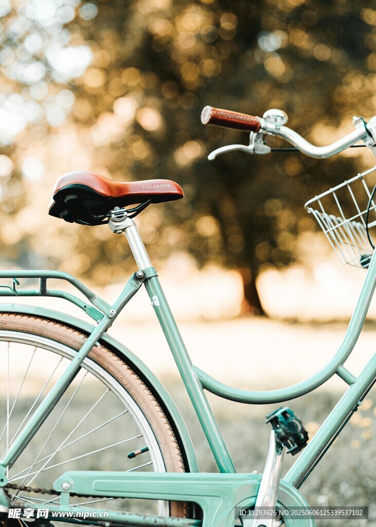 复古单车静置于林间