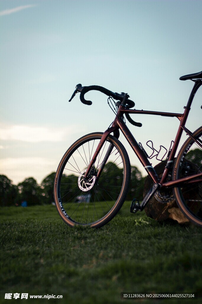 草地上的公路自行车