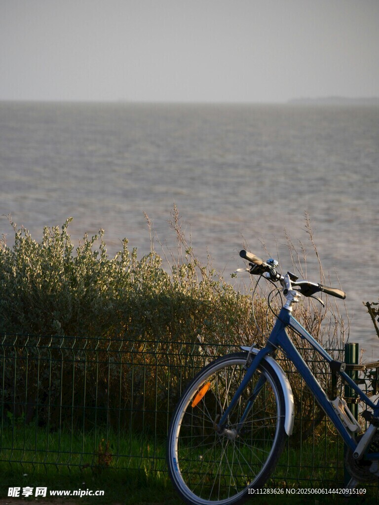 湖畔自行车静立美景