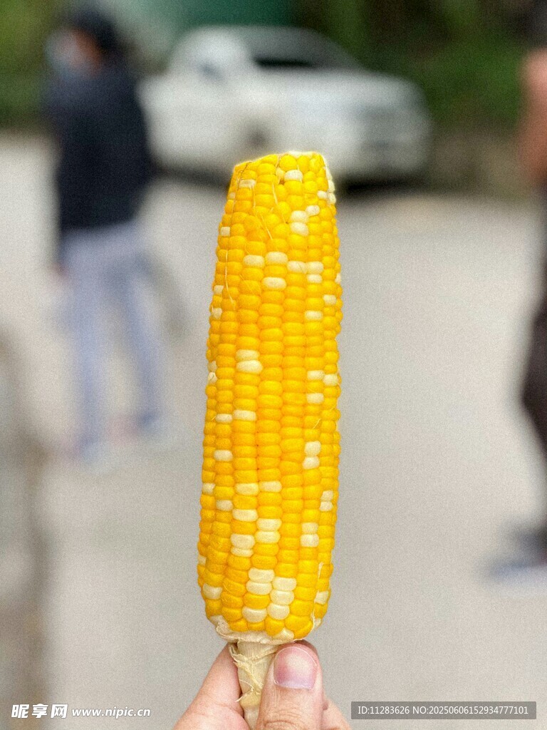 手持香甜玉米街头特写
