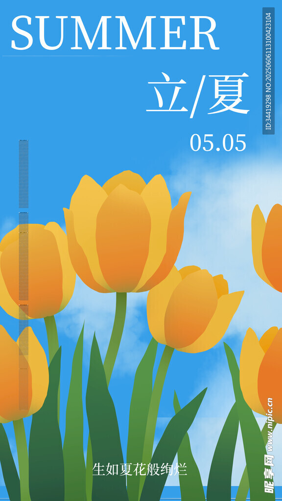夏日郁金香与立夏景致