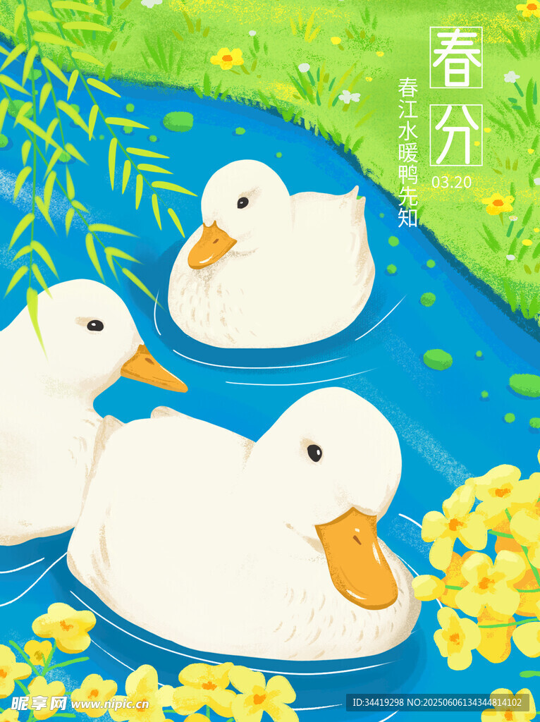 春分时节游春的可爱鸭子