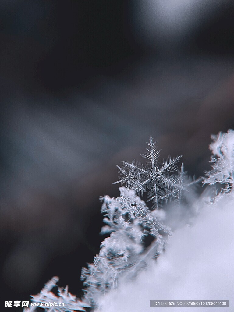微距下的精致雪花美景