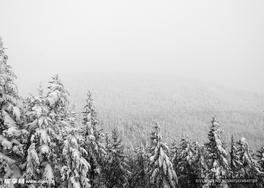 雪覆山林美景