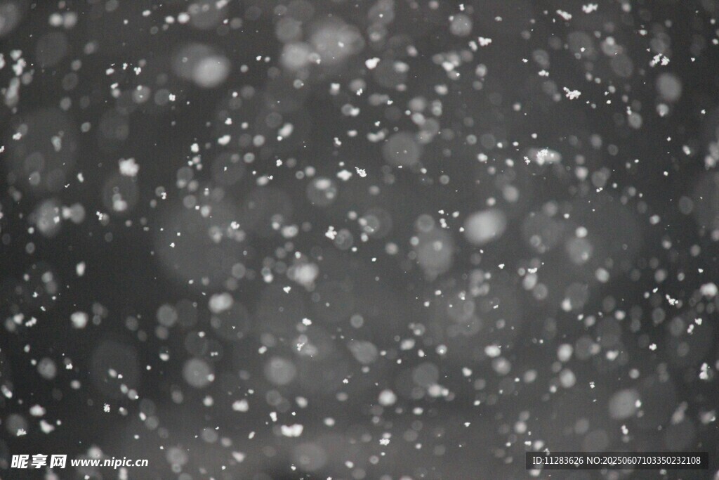 飘雪场景