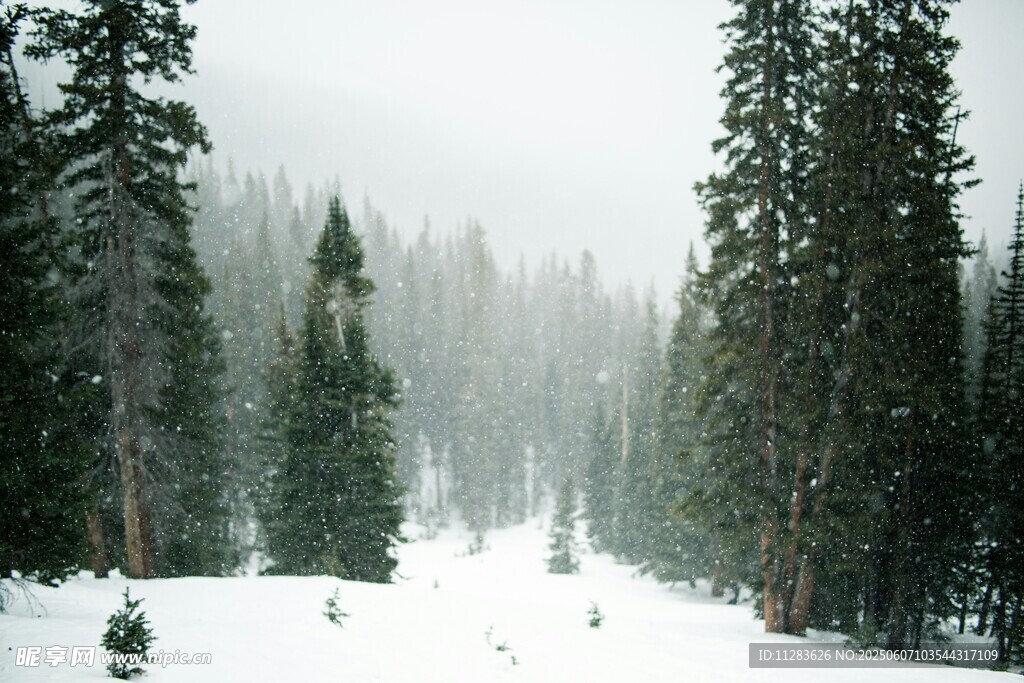 雪覆山林的静谧冬日景象
