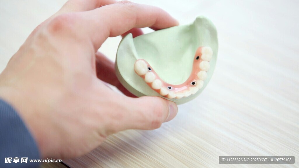 手持浅绿色假牙模型