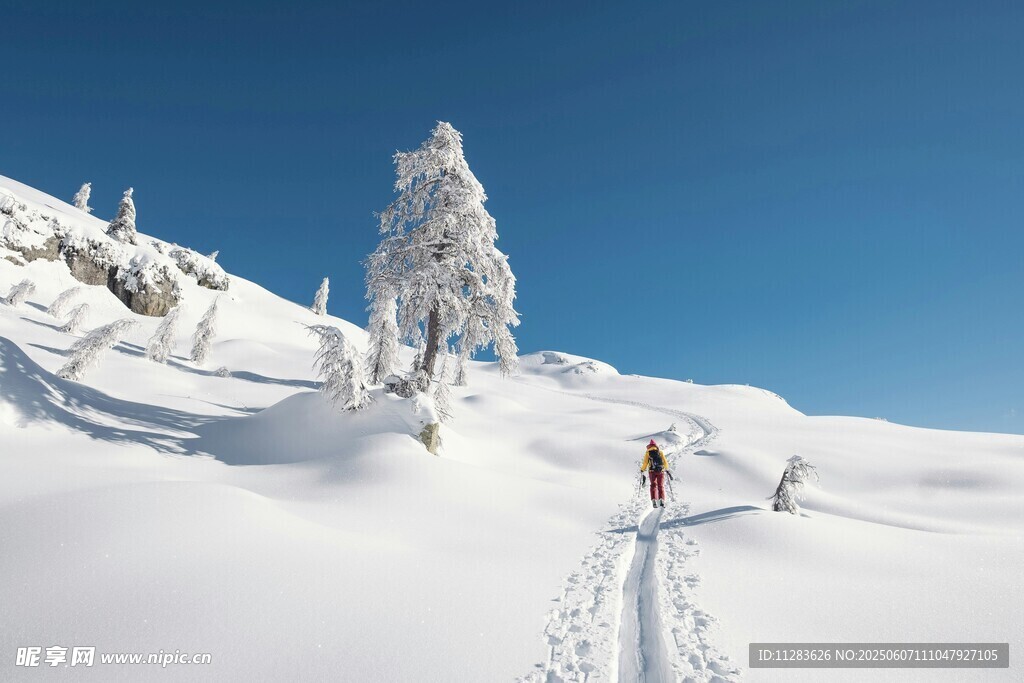 雪地徒步者与银装素裹山林