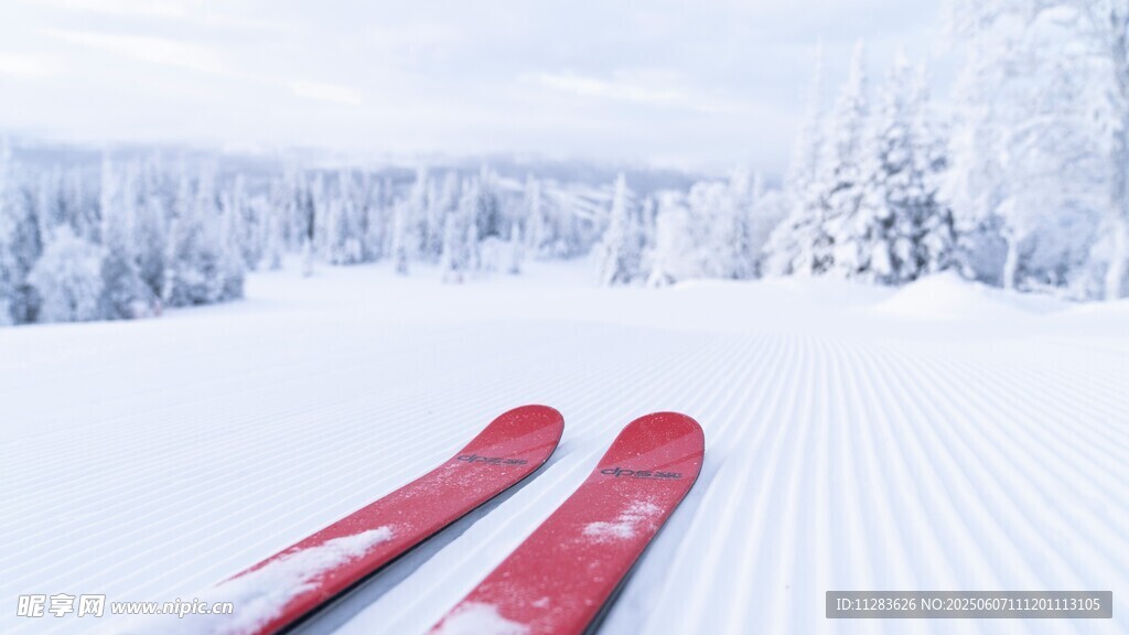 雪地上的红色滑雪板